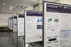 FER PhD013 5625
