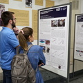 FER PhD017 5625